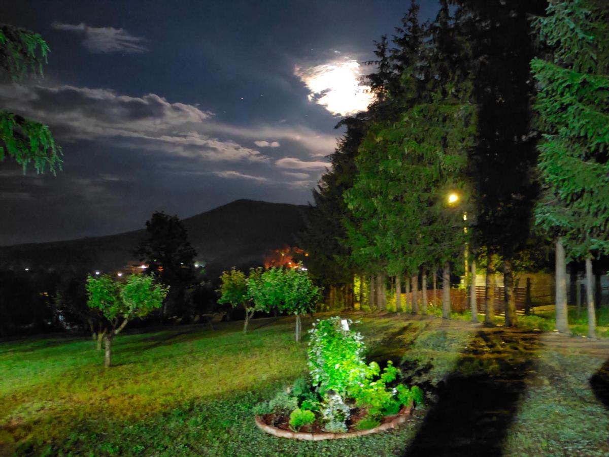 Vila Jezerski Raj Borsko Jezero Exterior foto
