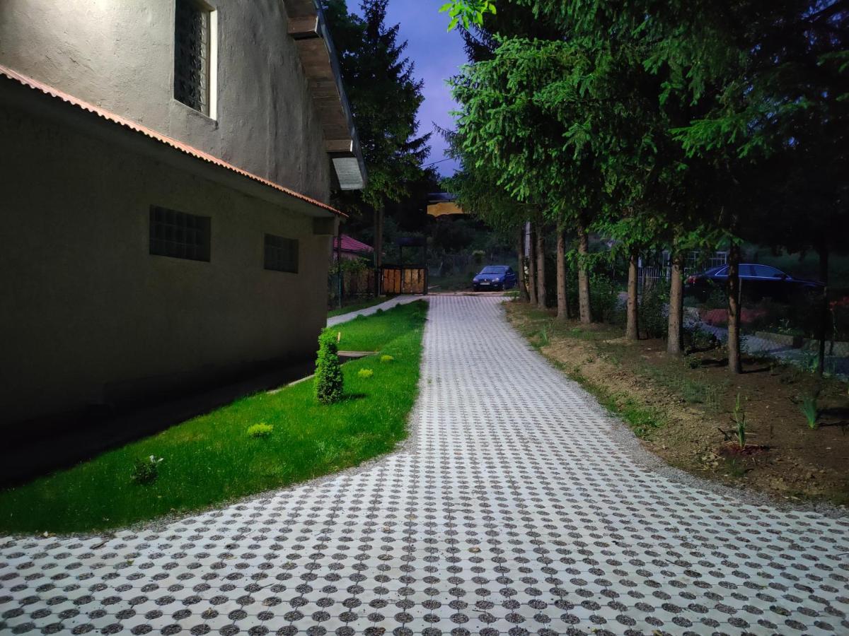 Vila Jezerski Raj Borsko Jezero Exterior foto